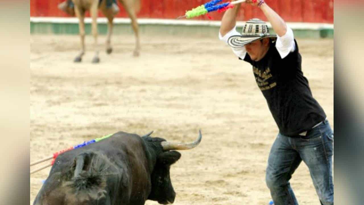 Toro