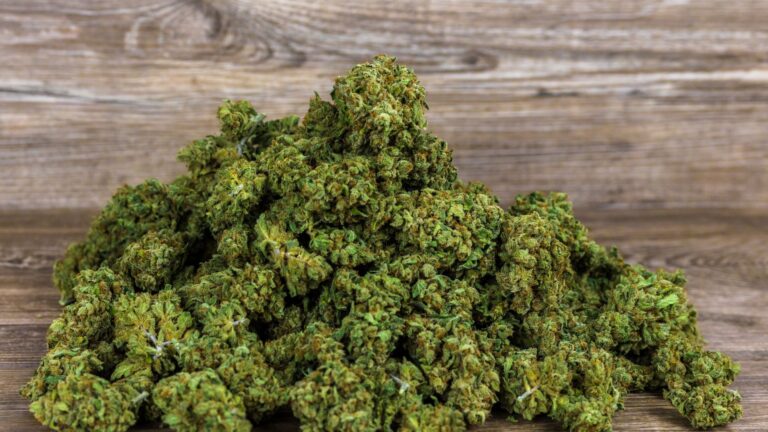 Marijuana
