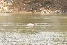 río Sinú