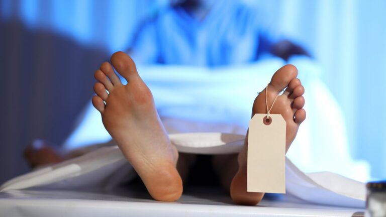 Cadaver
