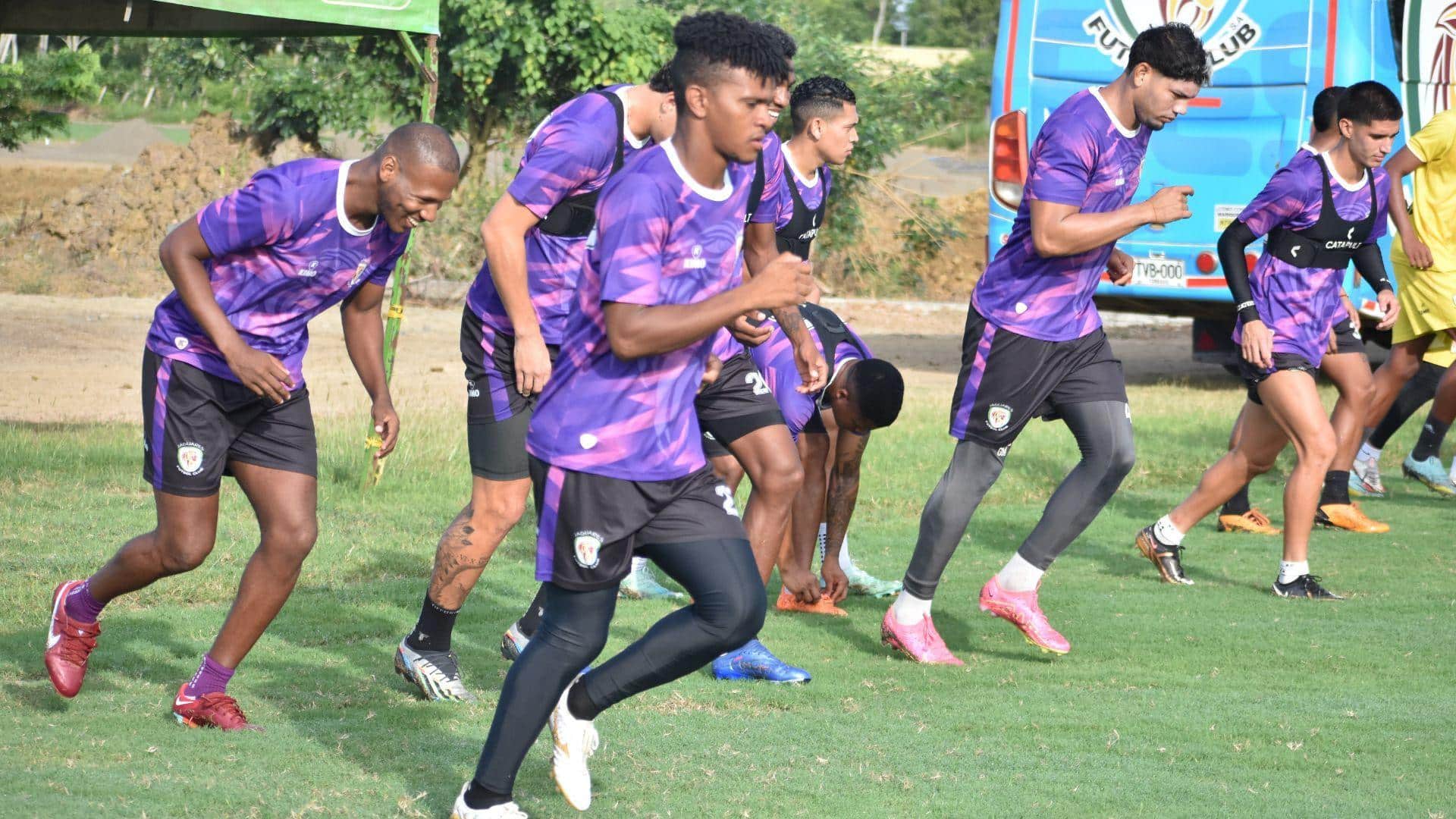 jaguares