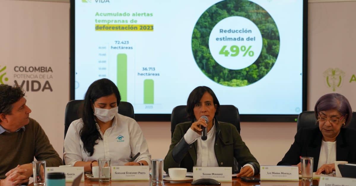 deforestacion