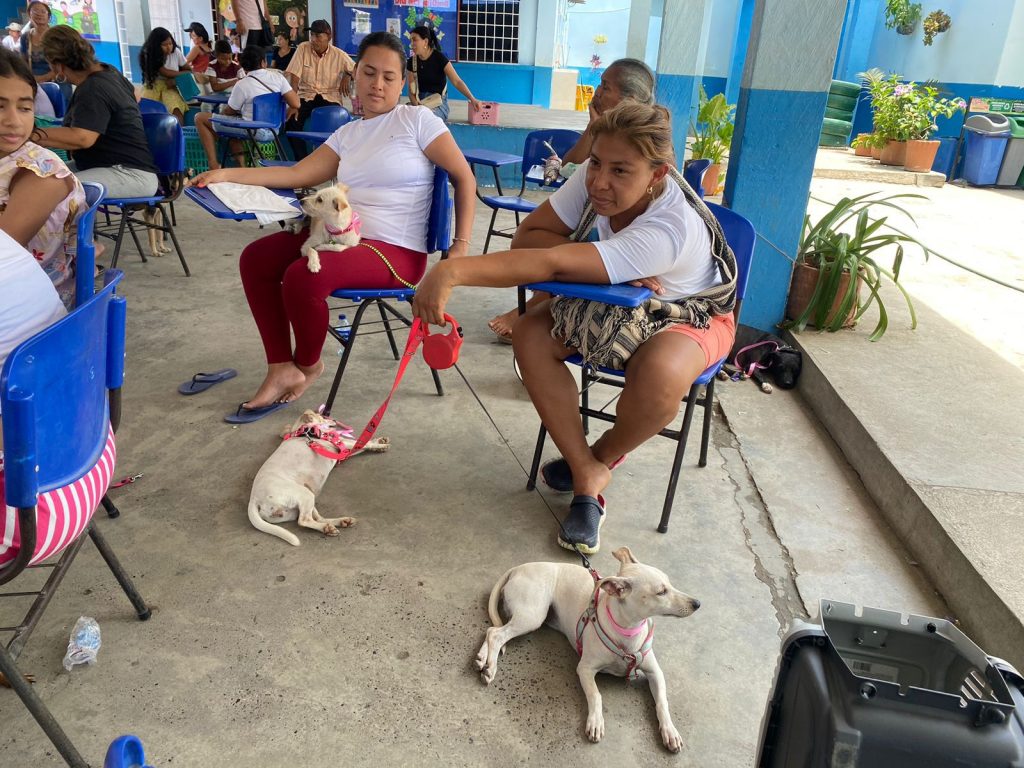 perros