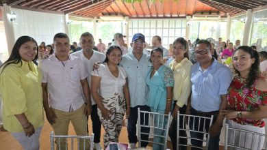 docentes