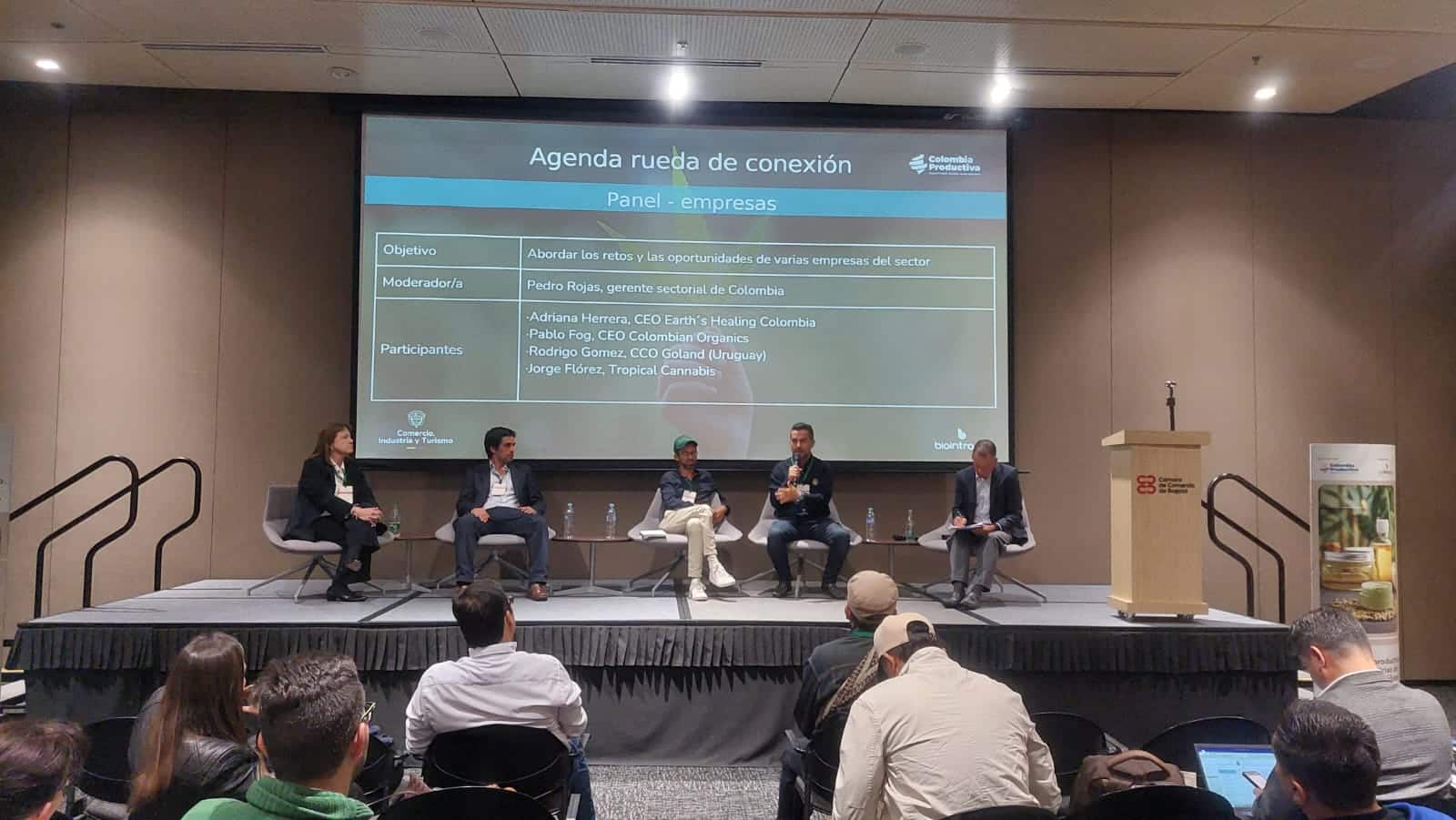 cannabis y cáñamo