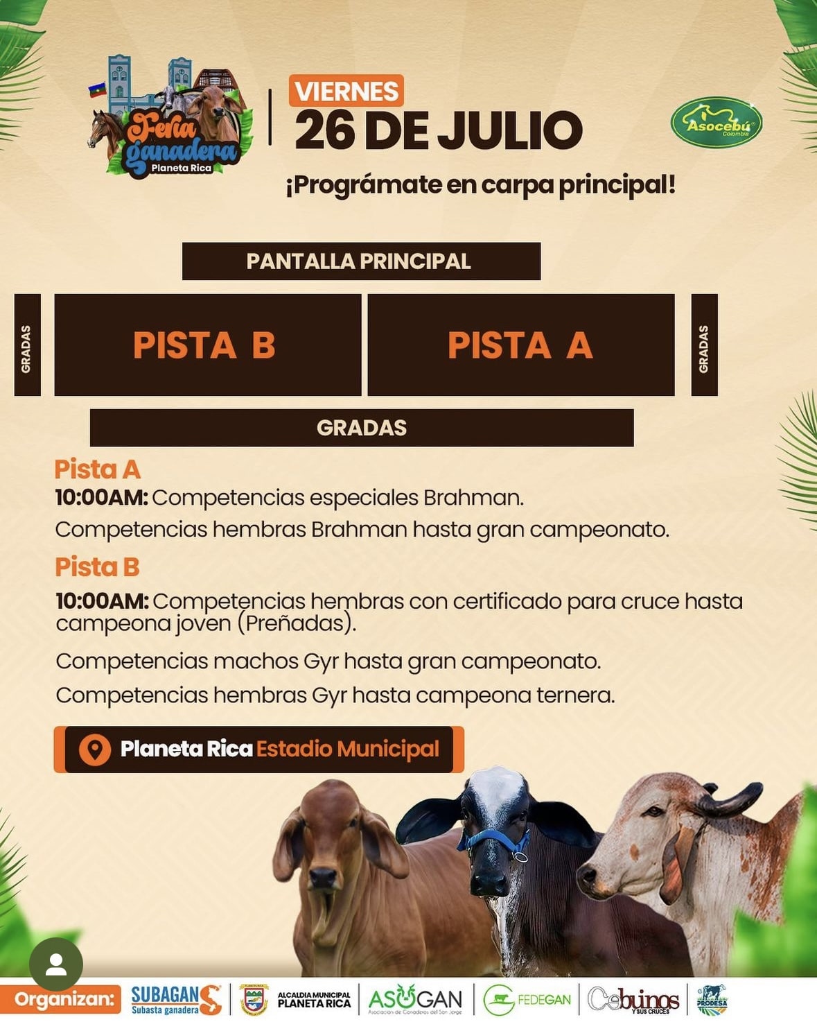Feria Ganadera