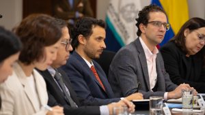 observación electoral