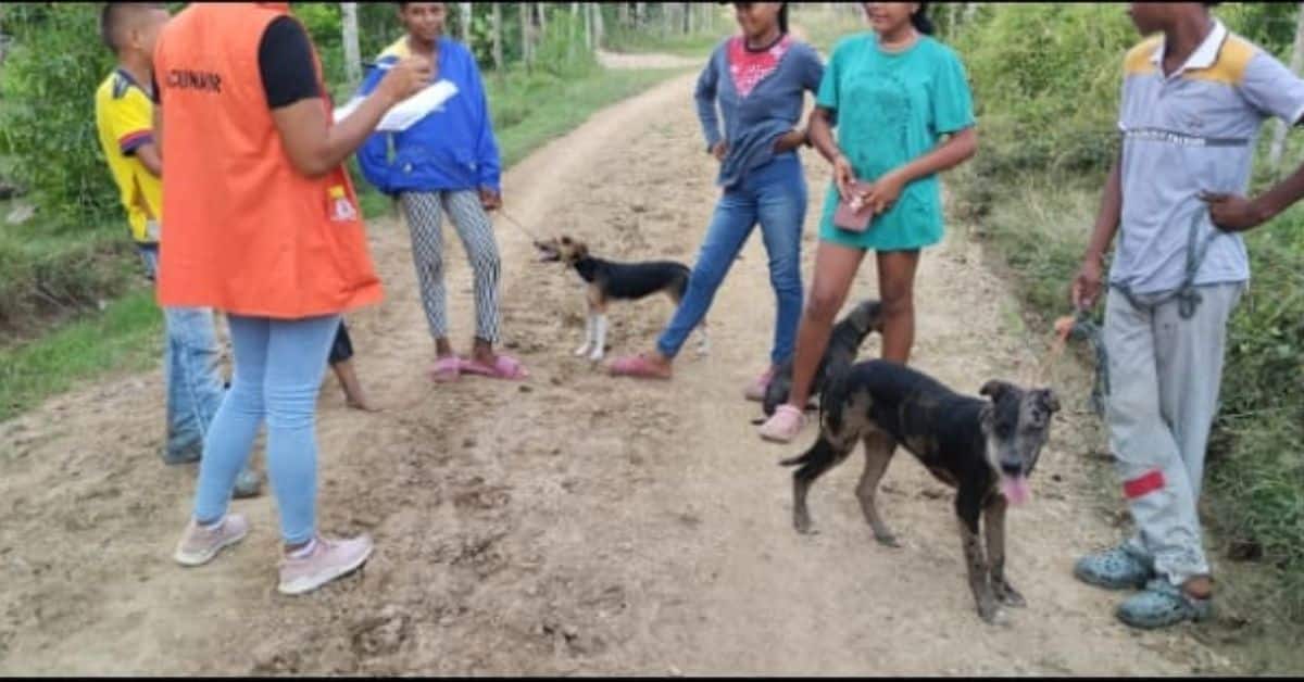 falta de pago