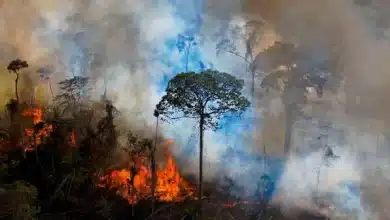 incendios