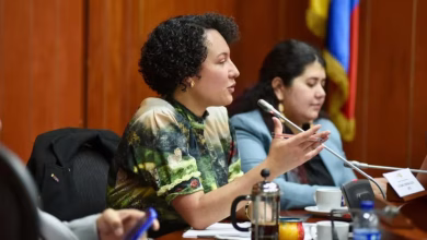 reelección presidencial