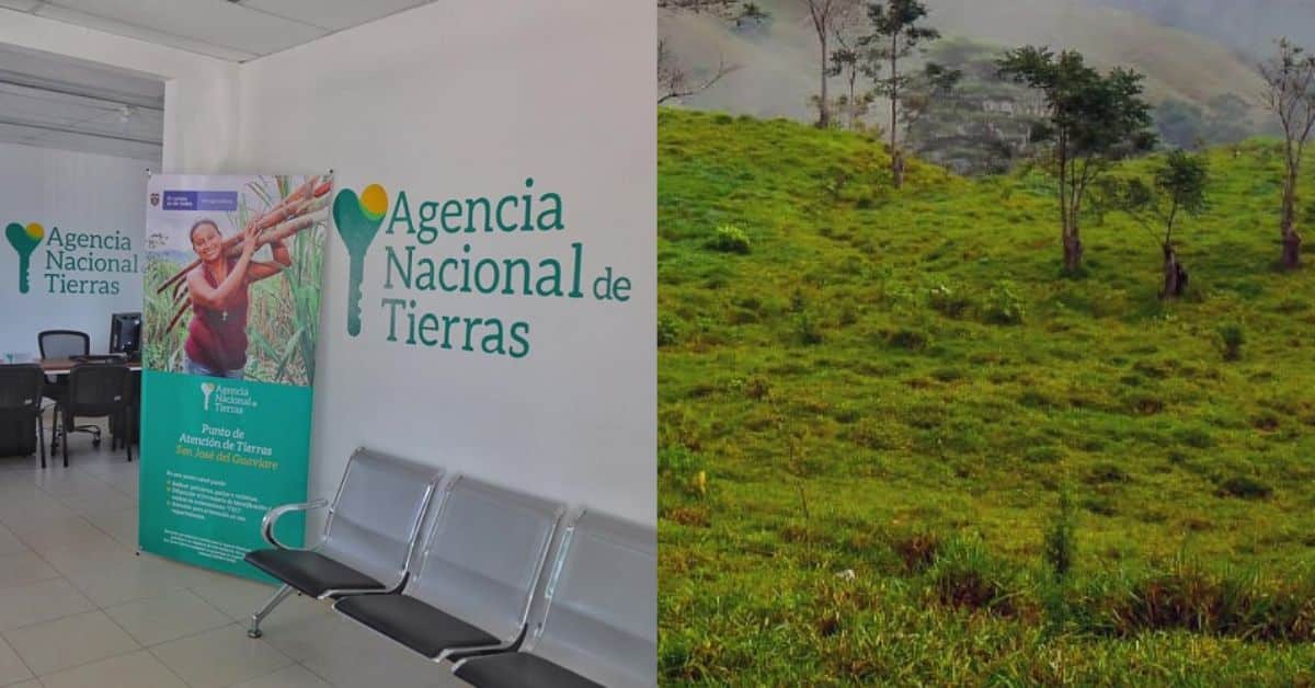 investigación