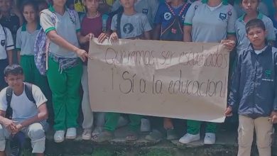 docentes