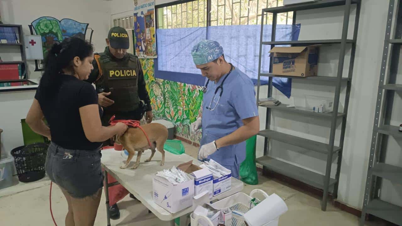 esterilizados