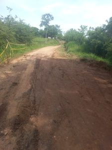 vereda