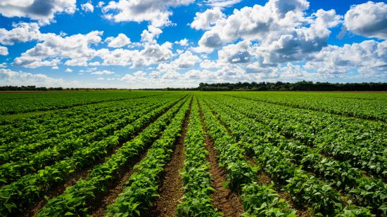 agrosindustrial
