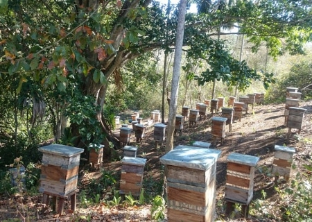 productoras