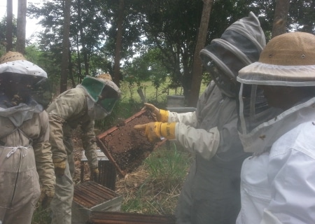 productoras