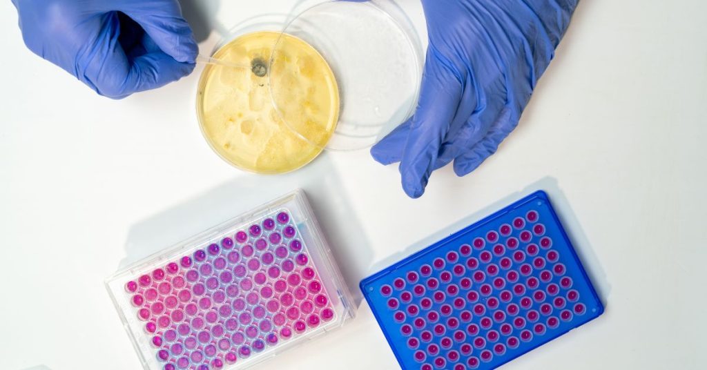 resistencia bacteriana - automedicación