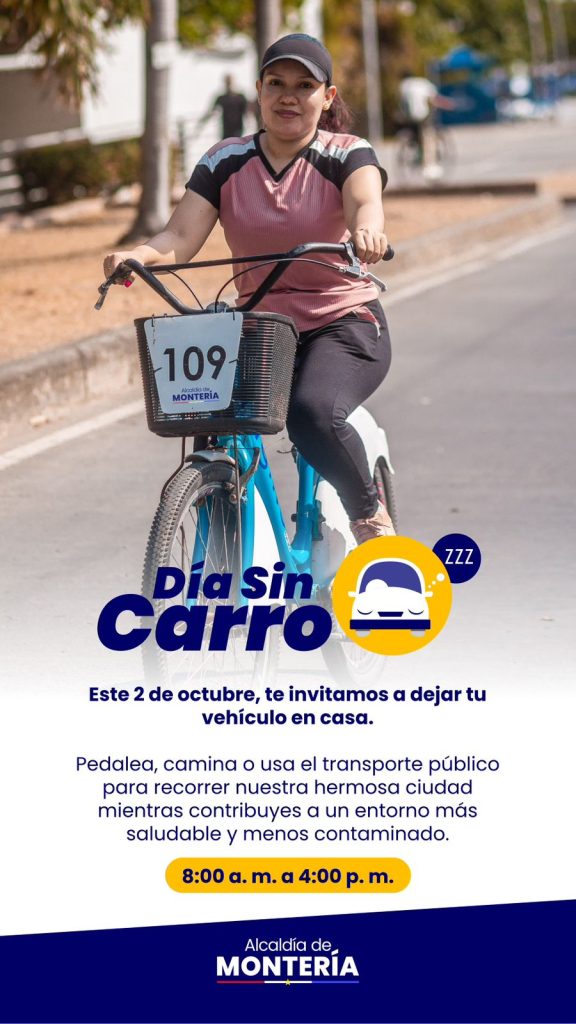 Día Sin Carro