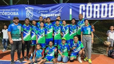 voleibol