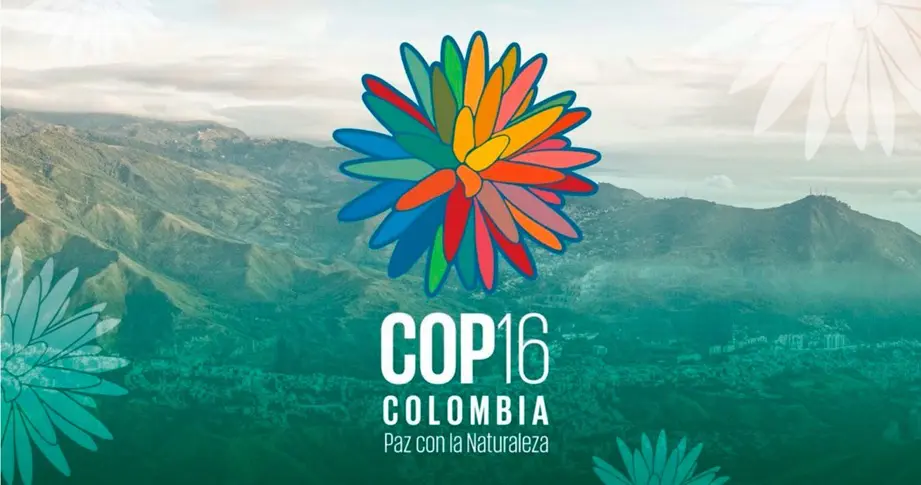 COP16