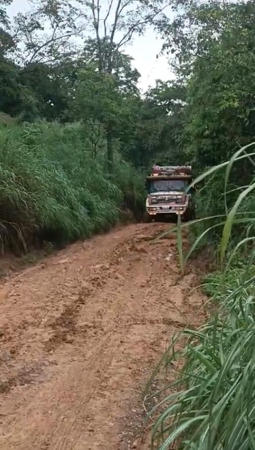 vías