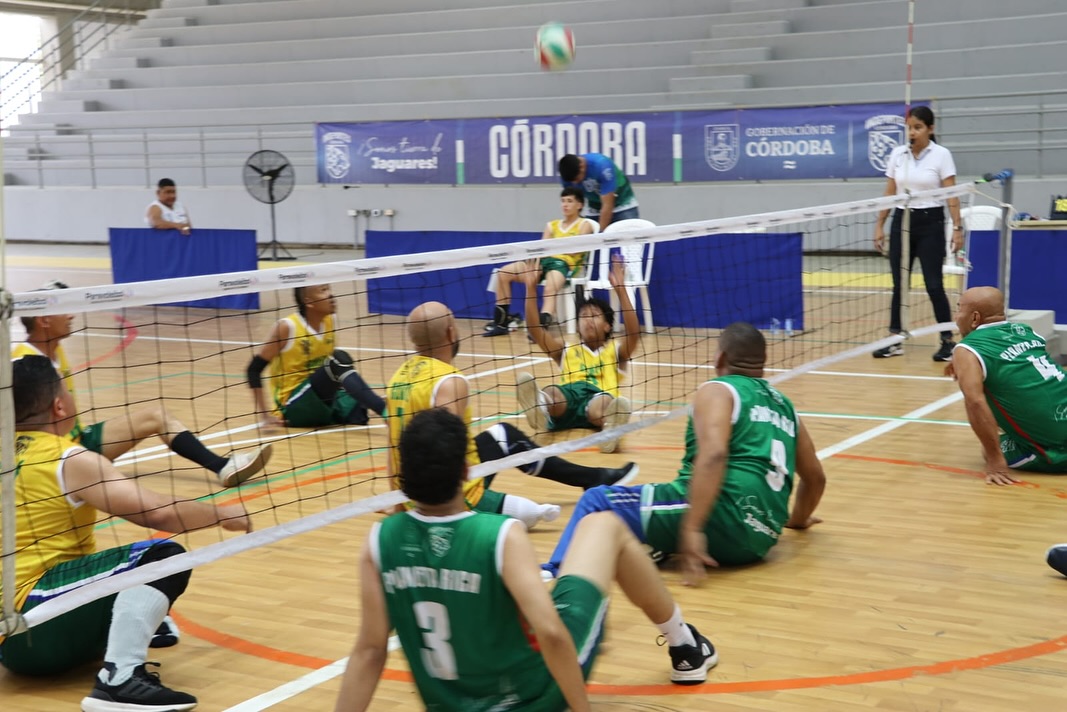 voleibol