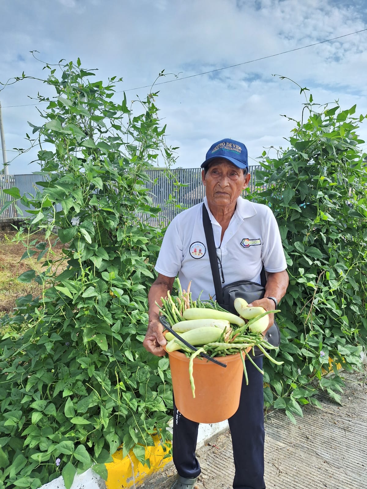 abuelo