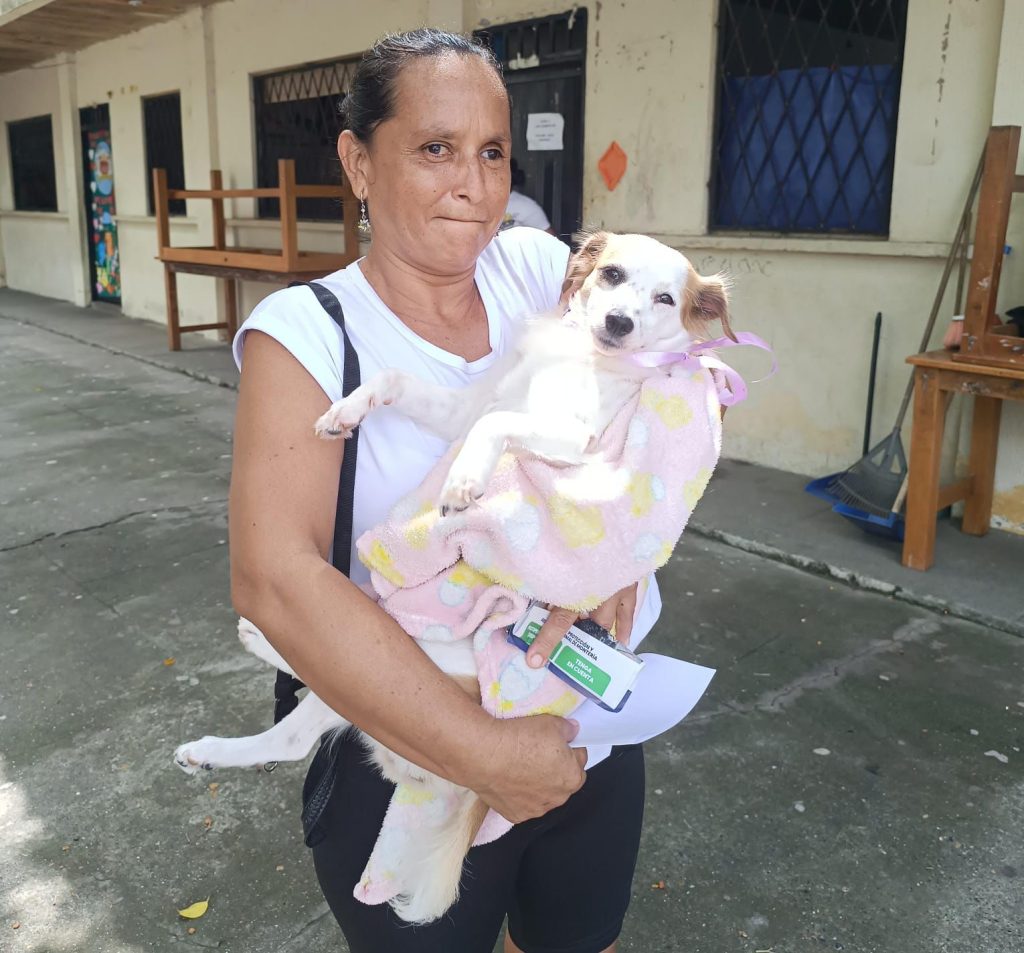 esterilización