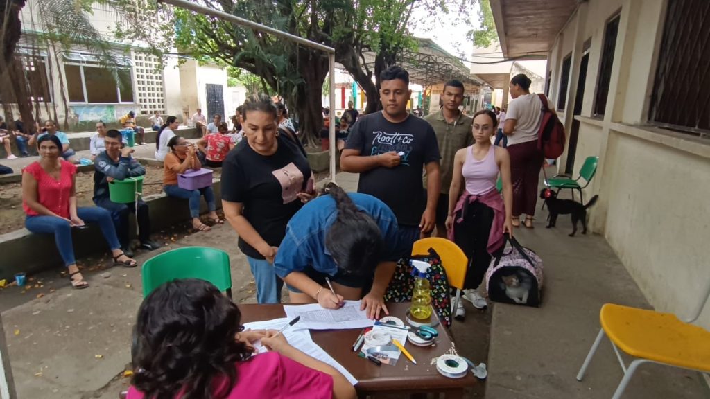 esterilización