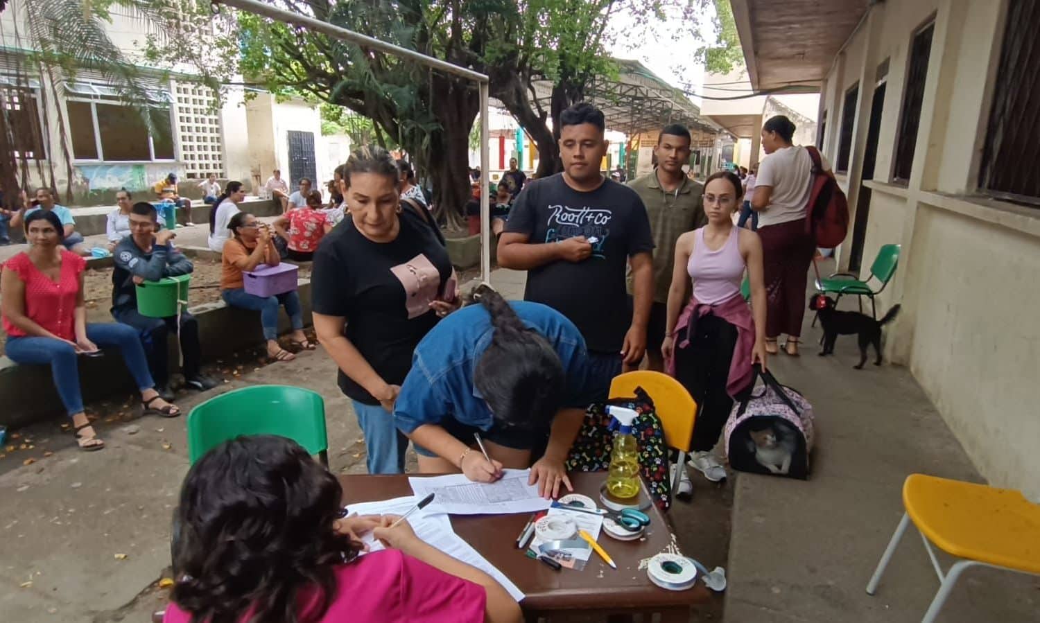 esterilizaciones