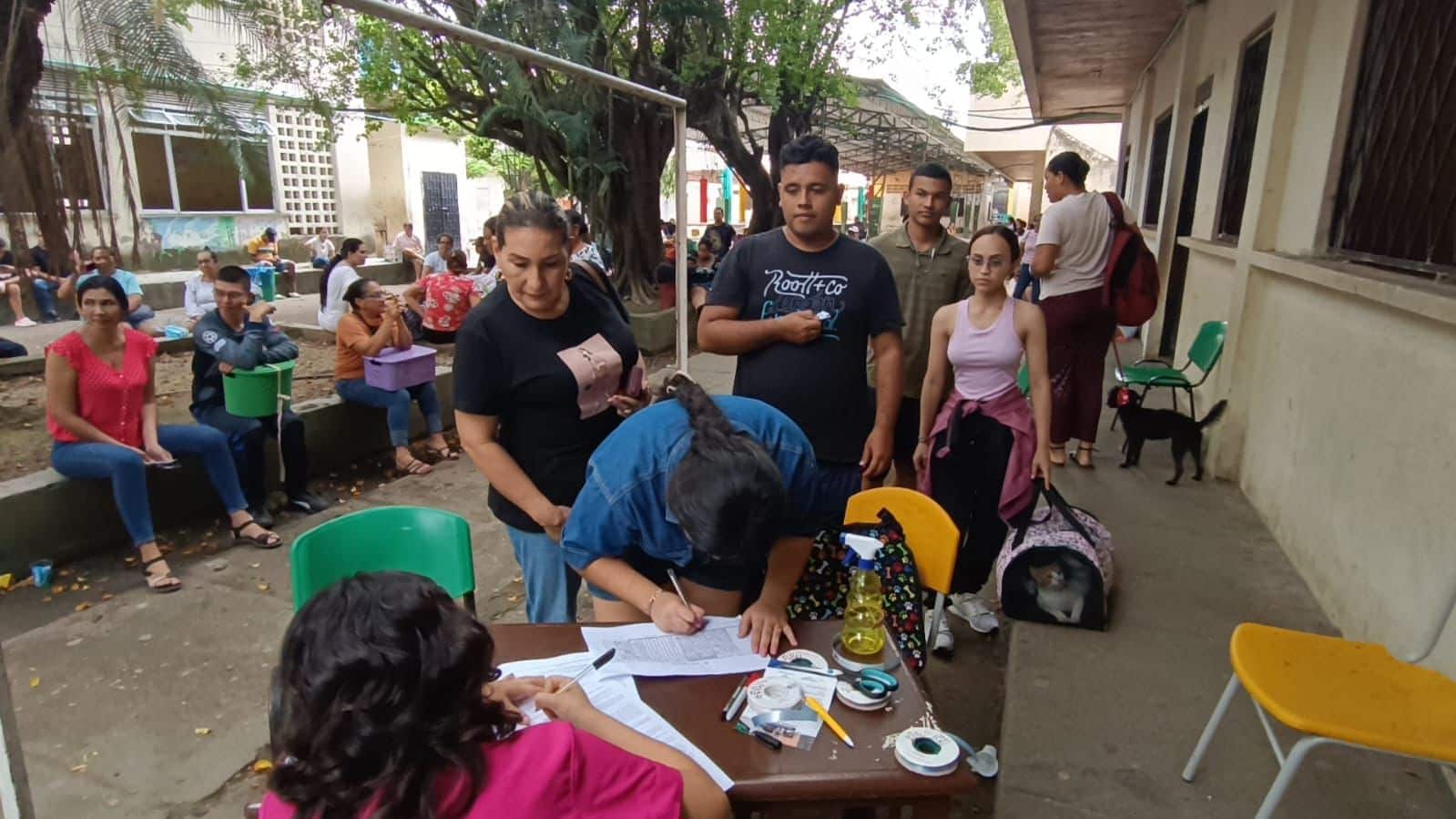esterilizaciones