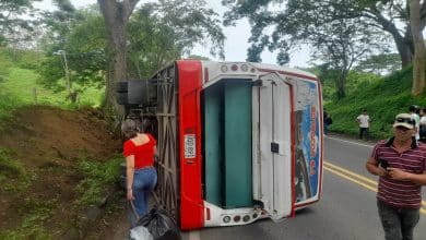 bus