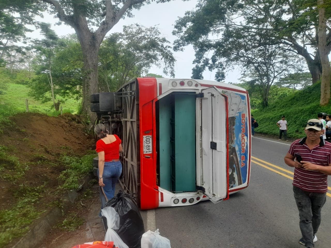 bus