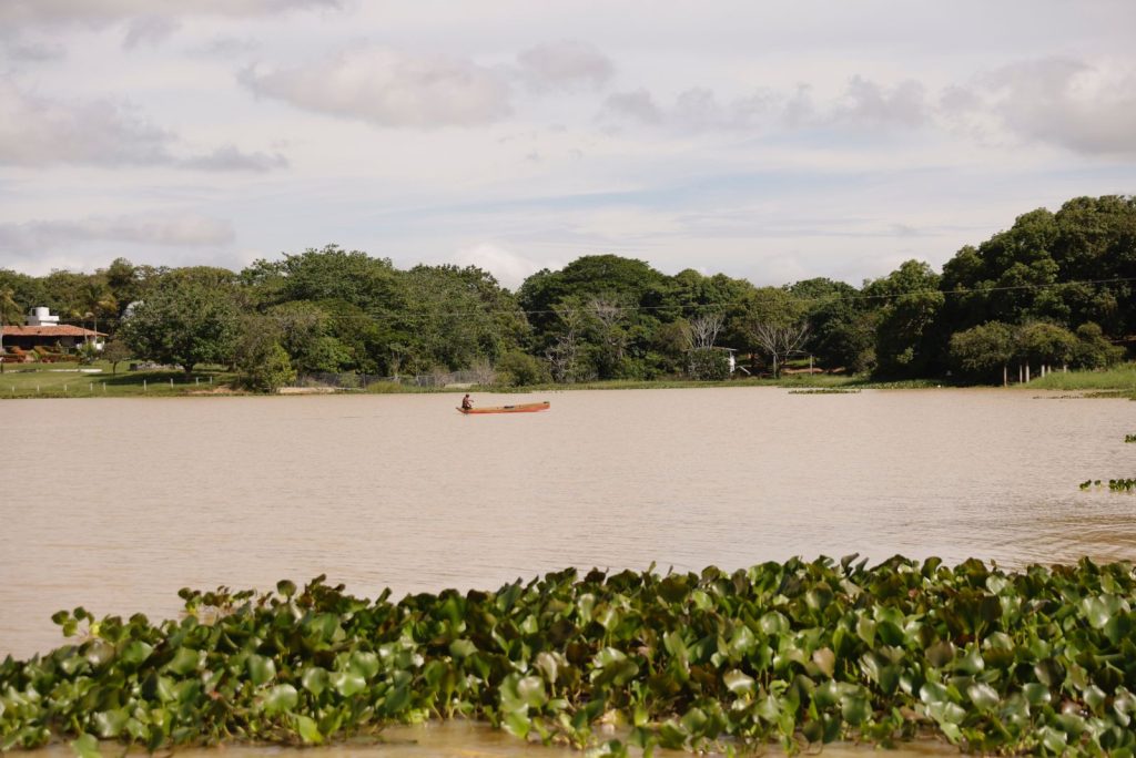 biodiversidad 