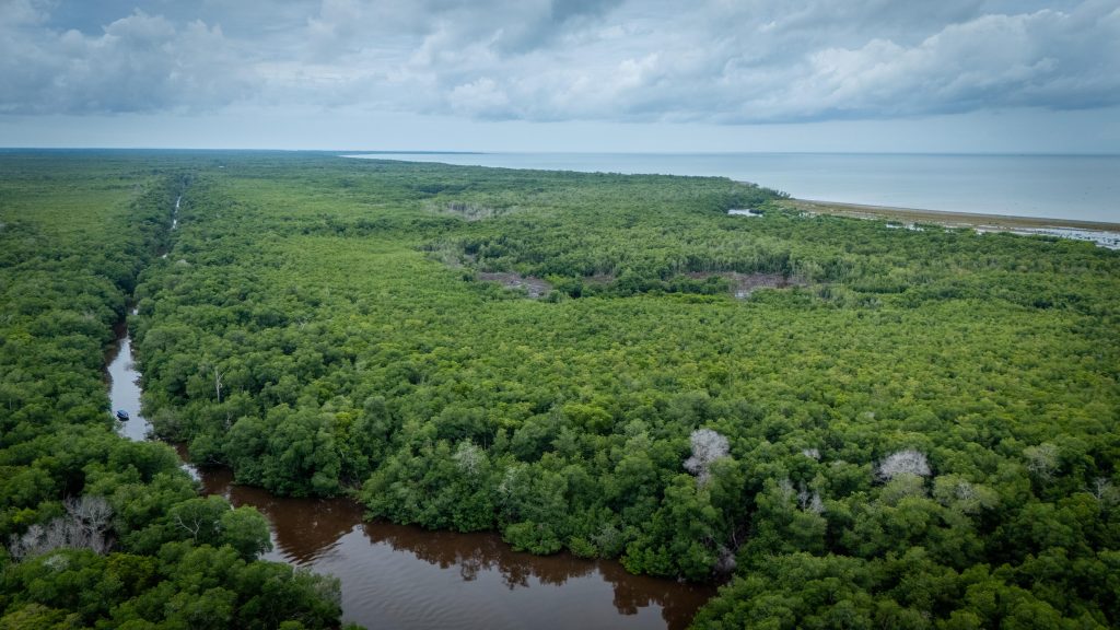 biodiversidad
