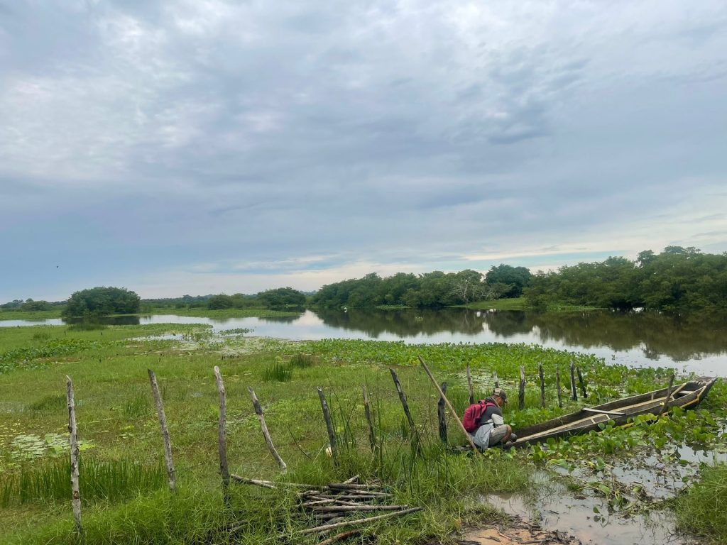 Comunidades de Chiquí en San Bernardo del Viento se unen para combatir inundaciones con soluciones naturales