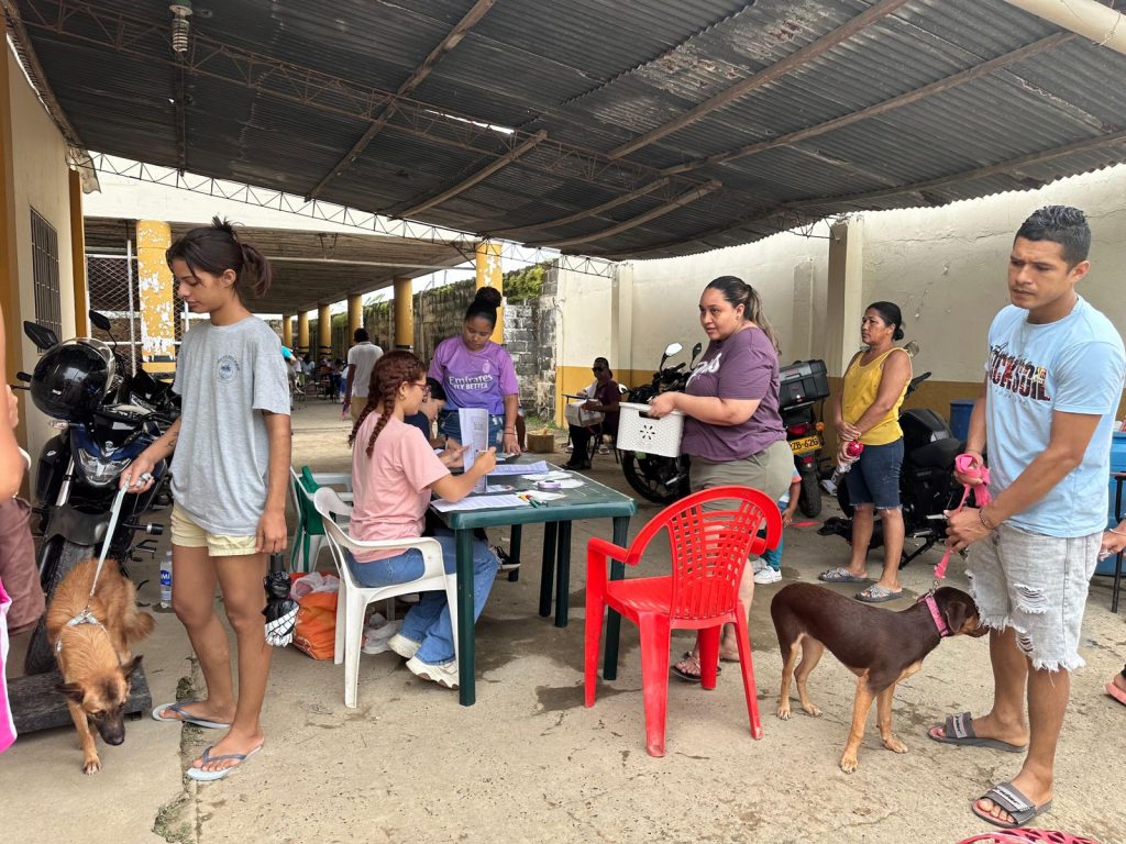  esterilizaciones