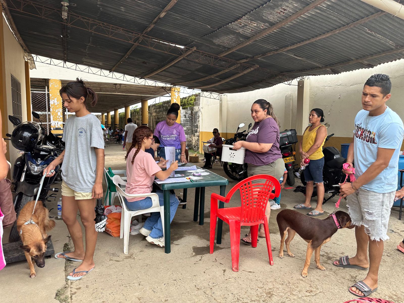 esterilización