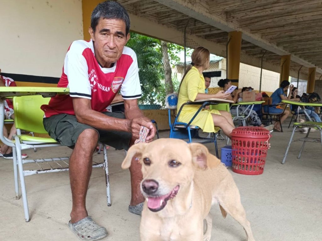 esterilizaciones 