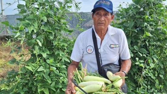 abuelo
