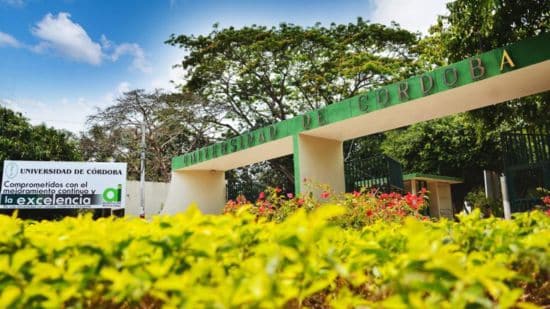 universidad