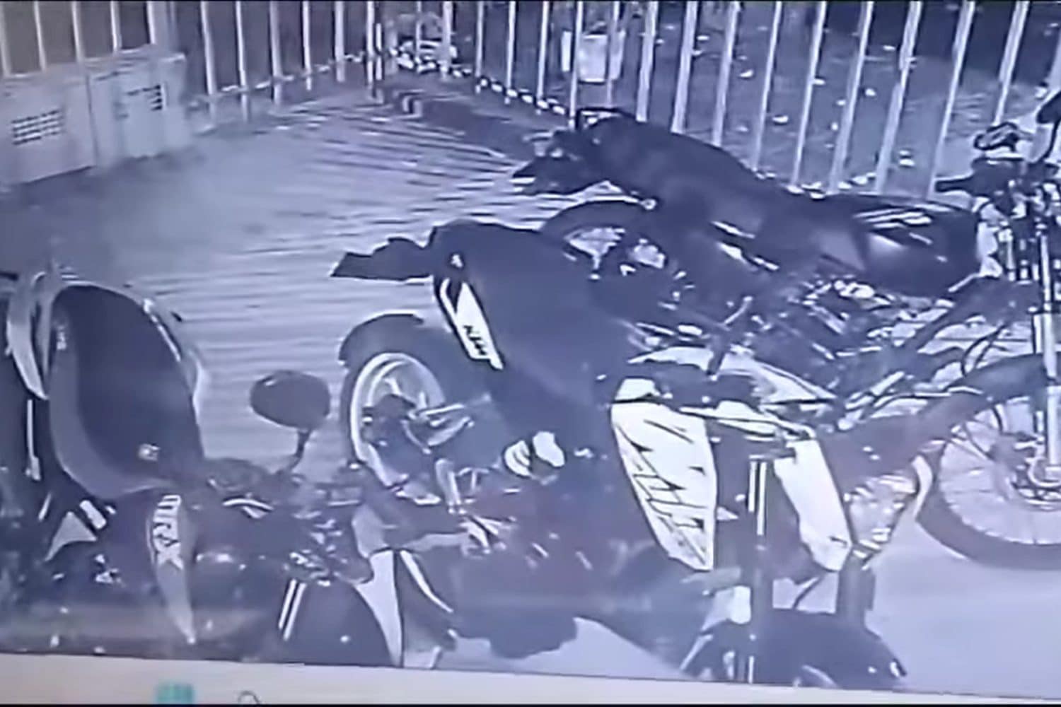 gasolina