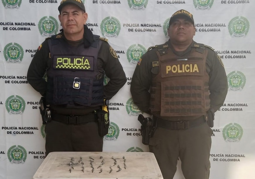 pólvora