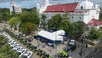 parque automotor