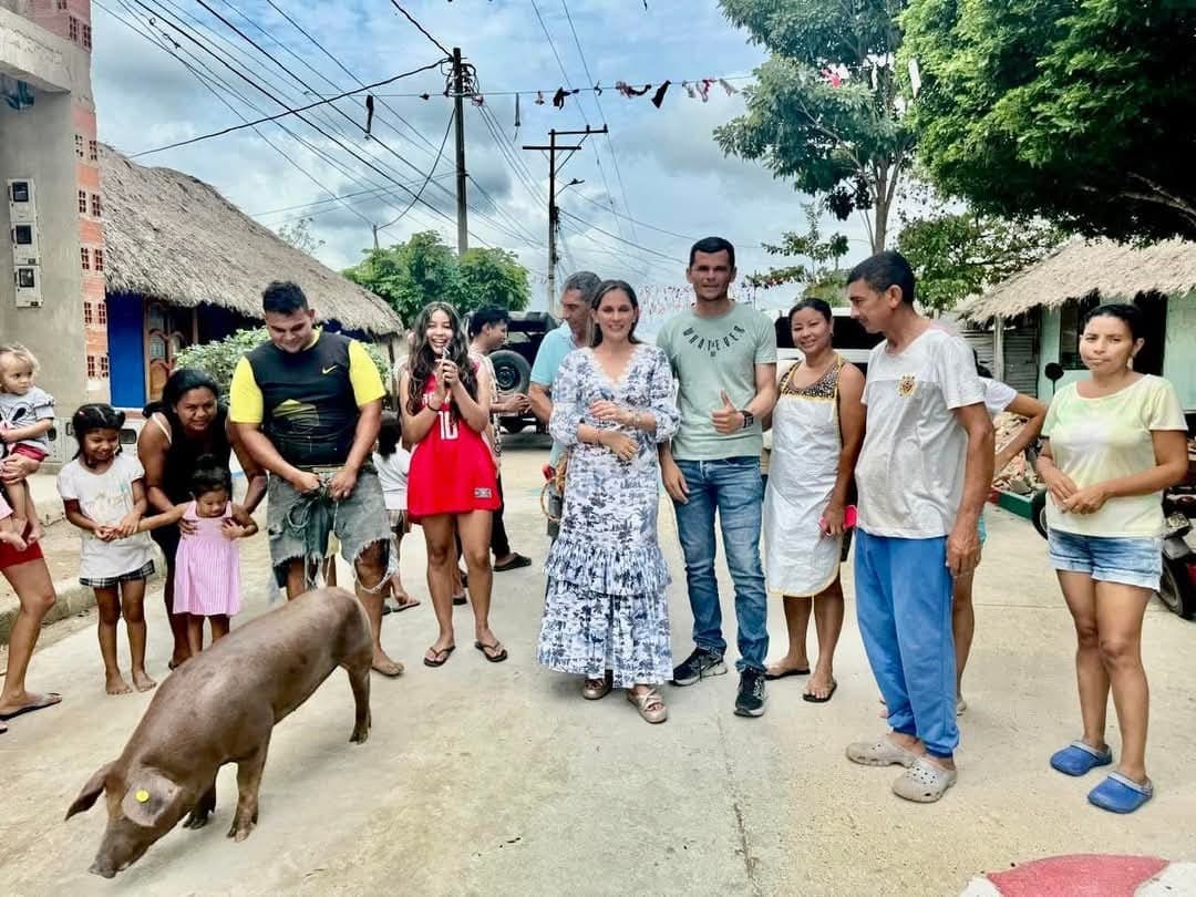 cerdo