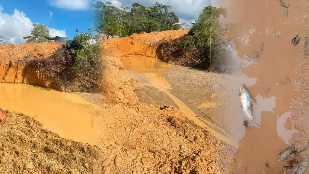 Montelíbano