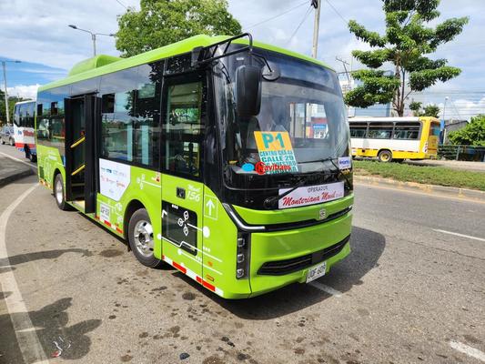 buses