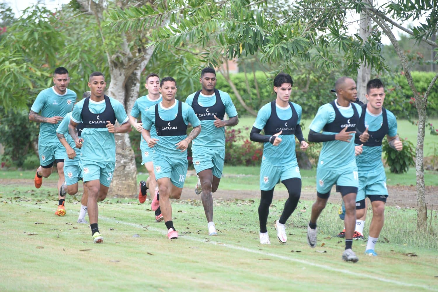 Jaguares