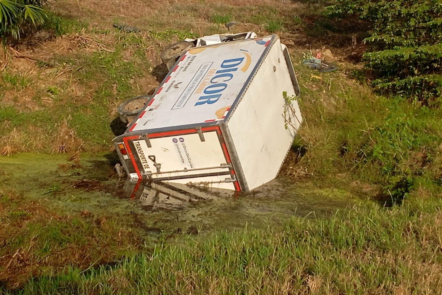 Camión